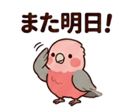 857939533
