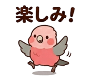 857939537