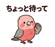 857939538