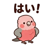 857939539