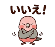 857939540