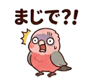 857939544