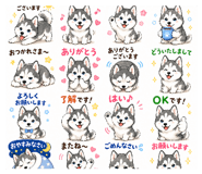 857941006