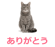 857942233