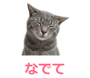 857942238