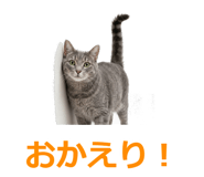 857942242