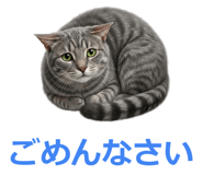 857942243