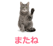 857942245