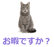 857942263