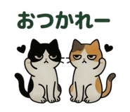 857942334