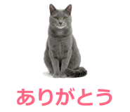 857942513