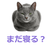857942517