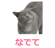 857942518