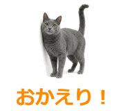 857942522