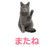 857942525