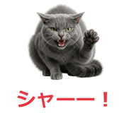 857942530