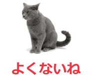 857942532