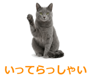 857942535