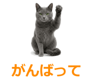 857942536