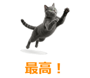 857942542