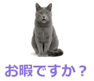 857942543
