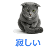 857942546