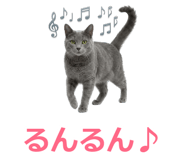 857942550