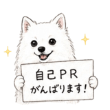 857942556