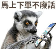 857943554