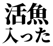 857945571