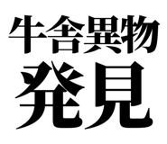 857946035