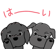 857946187