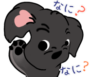 857946190