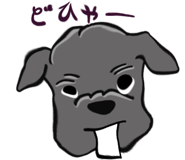 857946195