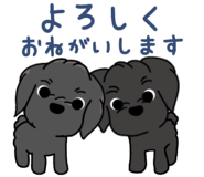 857946200