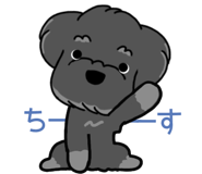 857946211