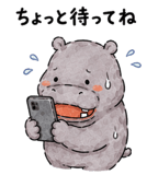 857946587