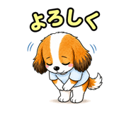 857950202