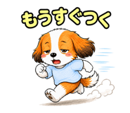 857950203