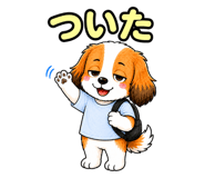 857950204