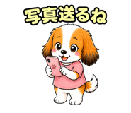 857950209