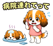 857950213