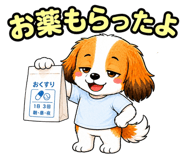 857950216