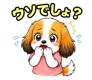 857950223