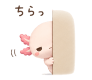 857952892