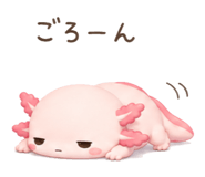857952898