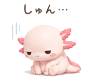 857952908
