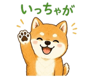 857953114