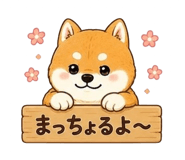 857953116