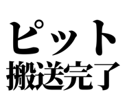 857953166